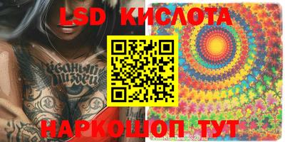 шишки Можга