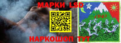 шишки Можга