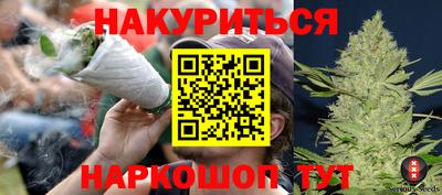 шишки Можга
