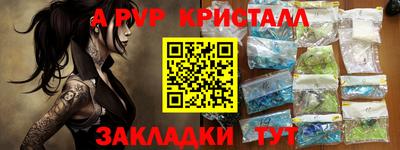 шишки Можга