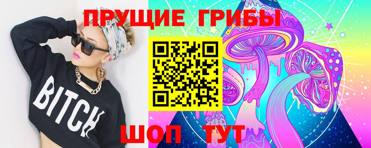 Верхняя Пышма  Псилоцибиновые грибы Psilocybe  Вход с VPN 