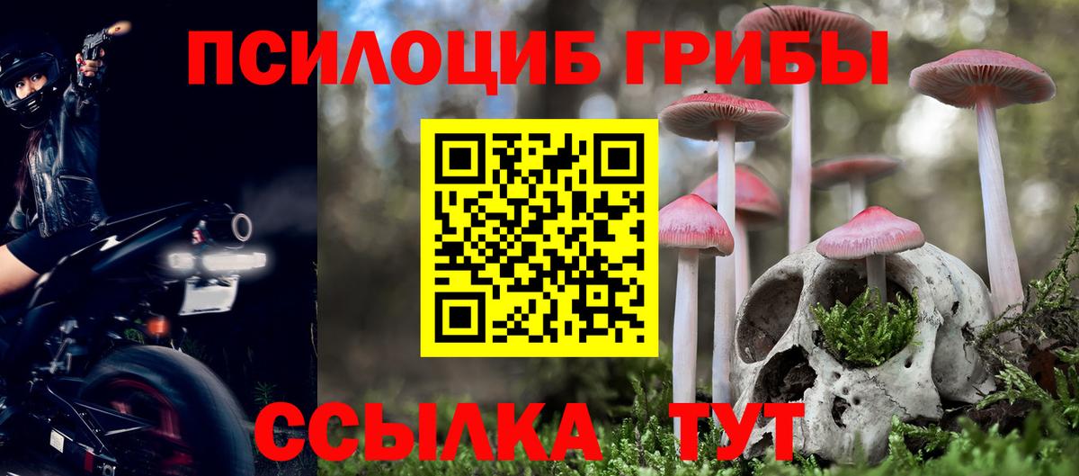 Псилоцибиновые грибы Magic Shrooms Верхняя Пышма